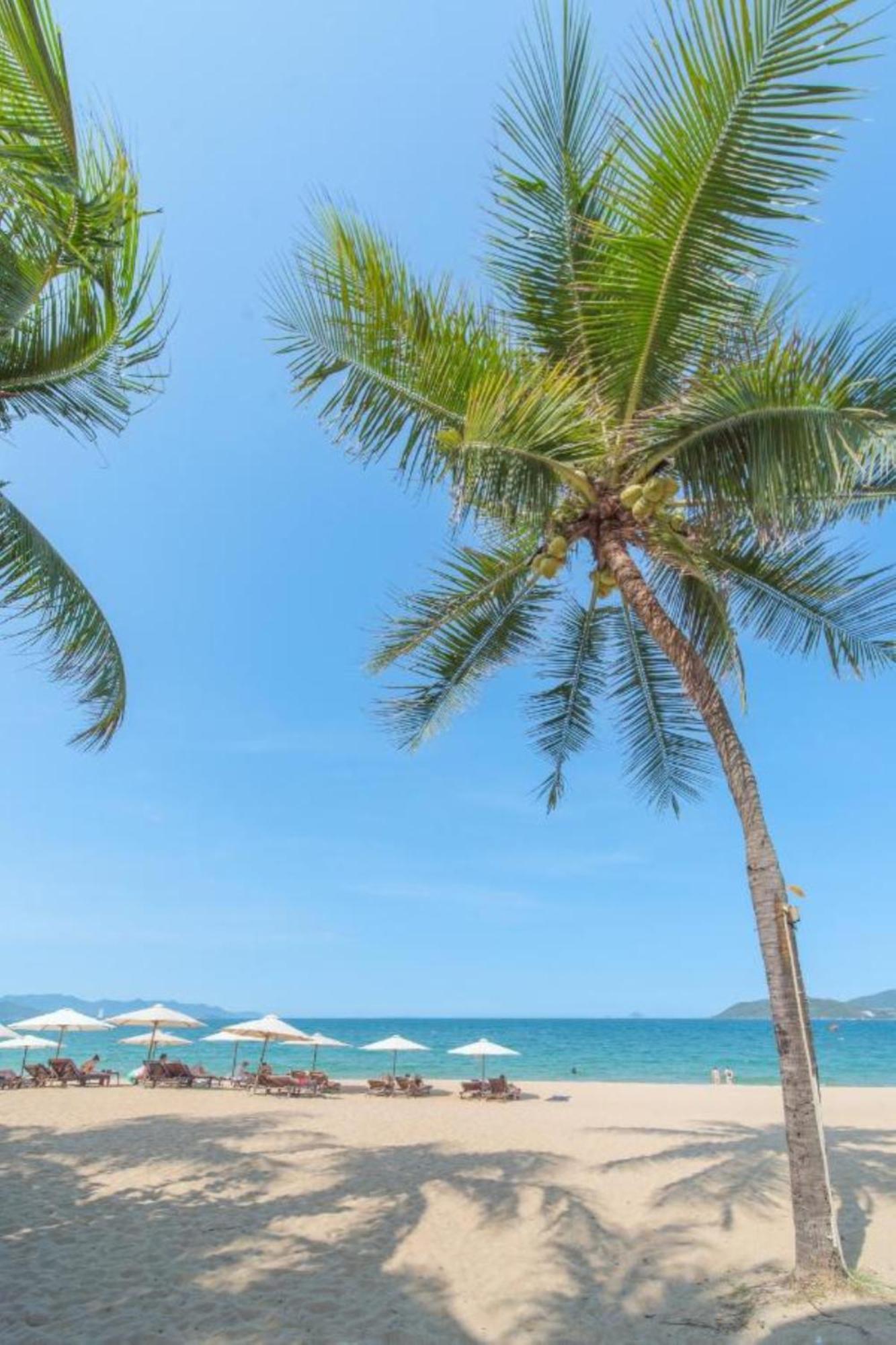 Nami Hotel Nha Trang Bagian luar foto